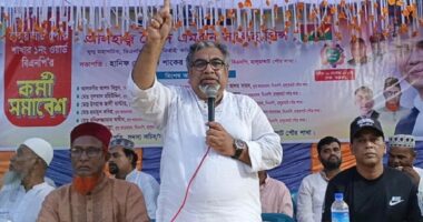 ২৯ বছর আ.লীগকে বাতাস করা পীর এখন জামায়াতকে বাতাস করছেন : প্রিন্স
