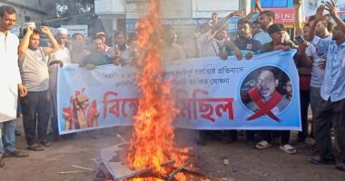 নাসীরুদ্দীন পাটওয়ারীকে নিজ জেলায় অবাঞ্ছিত ঘোষণা, কুশপুত্তলিকা দাহ