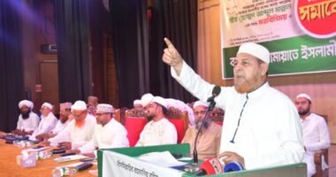 দুর্নীতিতে চ্যাম্পিয়নরা ক্ষমতায় যাওয়ার আগেই পাথর-বালু লুটে ব্যস্ত : রফিকুল ইসলাম