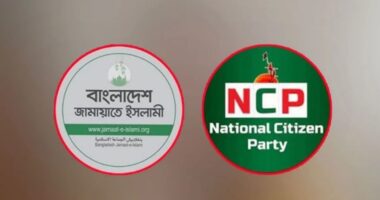 ‘জামায়াতের সাথে জোট নিয়ে এখনো কোনো সিদ্ধান্ত নেয়নি এনসিপি’