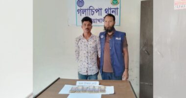গলাচিপায় জাল টাকার নোটসহ যুবক গ্রেফতার