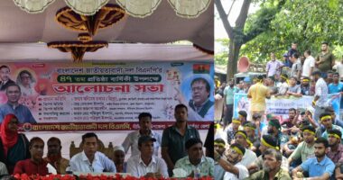 দীঘিনালায় বিএনপির ৪৭তম প্রতিষ্ঠাবার্ষিকী উদযাপন