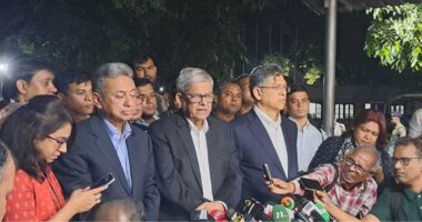 'অন্তর্বর্তী সরকারকে তত্ত্বাবধায়কের ভূমিকায় যেতে হবে, সরাতে হবে দলীয় লোকদের' : মির্জা ফখরুল