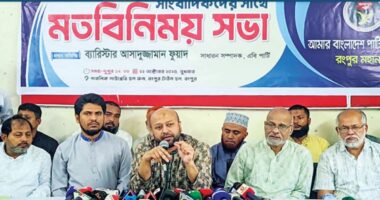 অবৈধ কর্মকাণ্ডে জড়িত উপদেষ্টাদের জেলে যেতে হতে পারে : ব্যারিস্টার ফুয়াদ