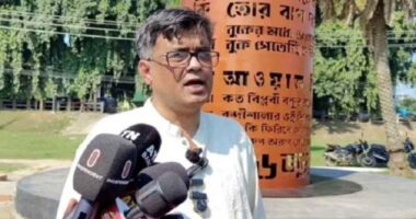 দেশি-বিদেশি কোনো চাপ নেই আ.লীগকে নির্বাচনে আনতে : প্রেস সচিব