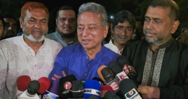 ভোটের পর দেশের অর্থনীতিতে বড় আকারের পরিবর্তন হবে : আমীর খসরু