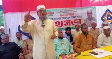 জামায়াত রাষ্ট্রক্ষমতায় এলে ৪ কোটি যুবকের কর্মসংস্থান সৃষ্টি করা হবে : তোফায়েল আহমদ