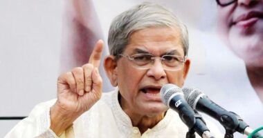 আ.লীগের ঘাপটি মেরে থাকা অনুচরেরা এখনও তৎপর : মির্জা ফখরুল