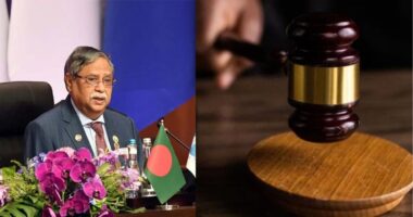 বিদেশে অবস্থিত বাংলাদেশের সব দূতাবাসে রাষ্ট্রপতির ছবি পুনঃস্থাপন করতে আইনি নোটিশ