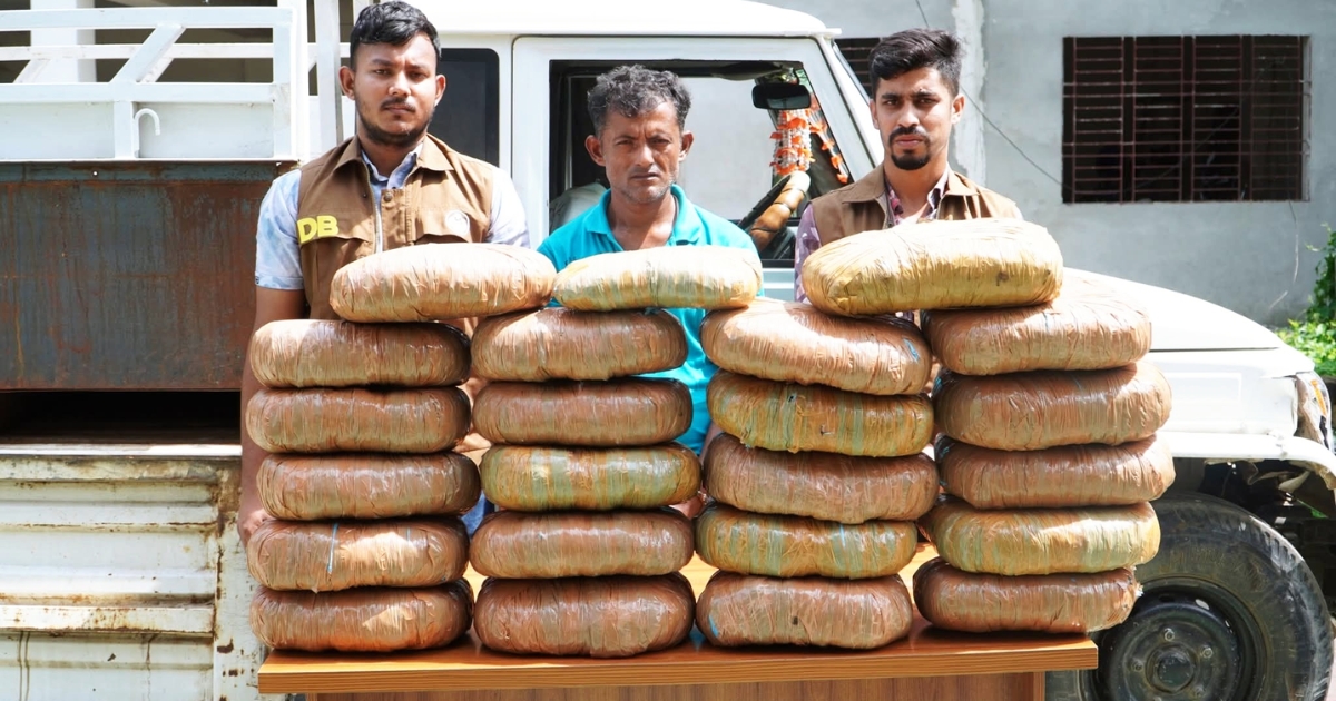 নরসিংদীতে ৪৫ কেজি গাজা সহ মাদক কারবারি আটক