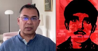 জিহাদের স্বপ্ন বাস্তবায়ন করতে না পারলে তার আত্মা কষ্ট পাবে : তারেক রহমান