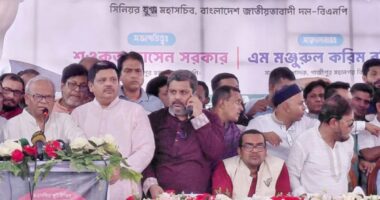 ঐক্য নষ্ট করবেন না,আপনাদের জন্মের অনেক আগে থেকে ধানের শীষই বিএনপির প্রতীক : রিজভী