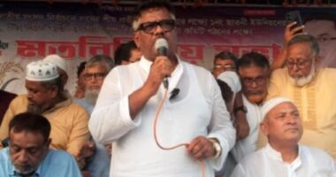 সকল দ্বন্দ্ব ভেদাভেদ ভূলে ঐক্যবদ্ধভাবে ধানের শীষে ভোট দিয়ে জয়যুক্ত করতে হবে : দুলু