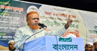 একটি দল ছাড়া সবাই পিআর চায় : জামায়াত নেতা বুলবুল