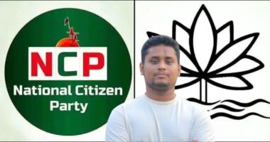 এনসিপি শাপলাই পাবে : হাসনাত আব্দুল্লাহ