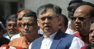 জুলাই যোদ্ধাদের মধ্যে ফ্যাসিস্ট বাহিনী ঢুকে পড়েছে : সালাহউদ্দিন আহমদ