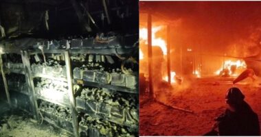 ইনসেপ্টা ফার্মাসিউটিক্যালসের ফ্যাক্টরিতে আগুন