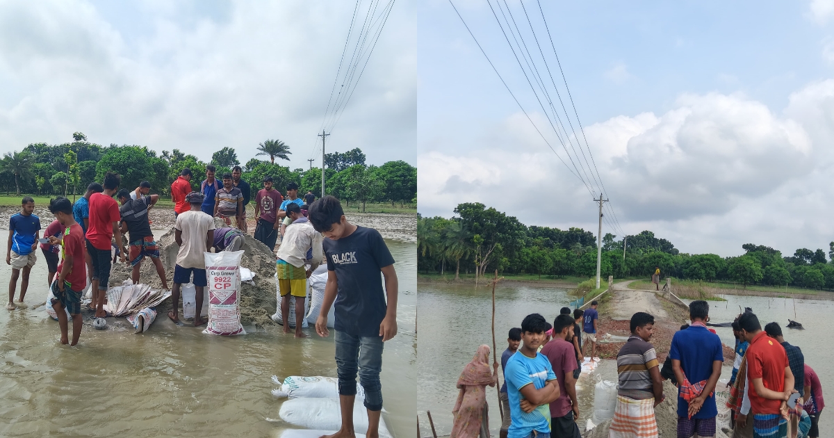 রাজশাহী জেলা ছাত্রদলের উদ্যোগে ভাঙা রাস্তা সংস্কার 