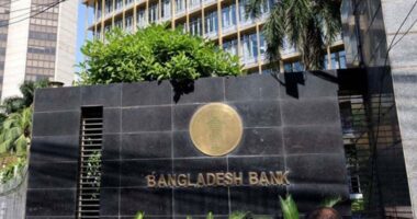 বৈদেশিক মুদ্রার রিজার্ভ ৩১.৫০ বিলিয়ন ডলারে দাঁড়িয়েছে