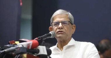 কিছু মানুষ একাত্তরের ইতিহাস ভুলিয়ে দেয়ার চেষ্টা করছে: মির্জা ফখরুল