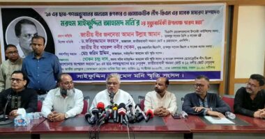 এয়ারপোর্টের আগুন ফ্যাসিস্ট হাসিনার নাশকতার অংশ : আমান