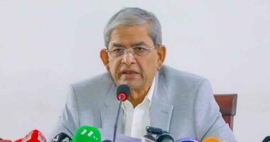 দেশের সব ভালো কাজ করা বিএনপিকে ‘ভিলেন’ বানানো হচ্ছে: মির্জা ফখরুল