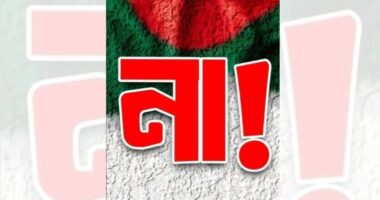 ‘গণভোট’ আয়োজনের আগেই বিএনপির ‘না’ ভোট