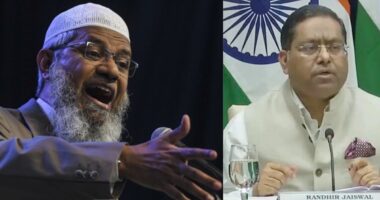 জাকির নায়েক ঢাকায় পা রাখলেই যেন ভারতের হাতে তুলে দেওয়া হয়: রনধীর জয়সওয়াল