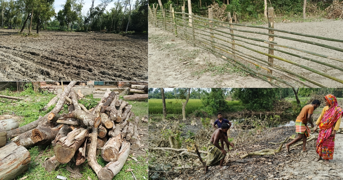 ধ্বংসের দ্বারপ্রান্তে গোসাইগঞ্জ বনবিভাগ, দিনরাত চলছে গাছ কর্তন ও জমি দখল