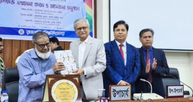 রাবিতে বিশ্ব শিক্ষক দিবস, সম্মাননা পেলেন তিন গুণী শিক্ষক