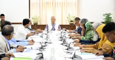 জুলাই সনদ ও গণভোট ইস্যুতে বৈঠকে বসেছে উপদেষ্টা পরিষদ