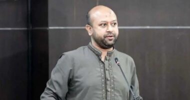 এই সংবিধান রাখলে জুলাই যোদ্ধাদের ফাঁসি দেওয়া যাবে : ব্যারিস্টার ফুয়াদ