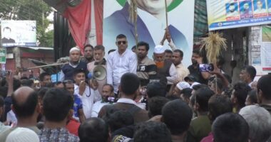 ভোলার ধনিয়া ইউনিয়নে ধানের শীষের পক্ষে গণসংযোগ ও মিছিল অনুষ্ঠিত