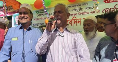'আমাকে ভোট না দিলেও ধানের শীষকে দিন’: জয়নুল আবদিন ফারুক
