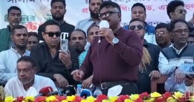 'পাপ বাপকেও ছাড়ে না' শেখ হাসিনার বিরুদ্ধে এ রায় সারা বিশ্বে দৃষ্টান্ত স্থাপন করেছে : দুলু