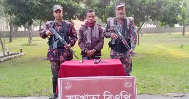 সীমান্তে কাঁটাতার কাটার সময় বিজিবি'র কাছে হাতেনাতে আটক 'চিহ্নিত' গরু চোরাকারবারি