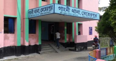 গাংনীতে পুকুরের পানিতে ডুবে শিশুর মৃত্যু