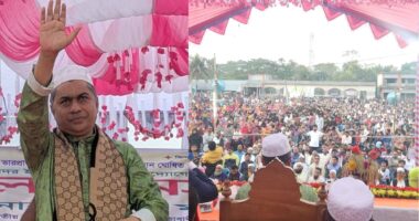 'সিদ্ধান্ত যাই হোক, শেষ কথা বলবে জনগণ' : হাসান মামুন