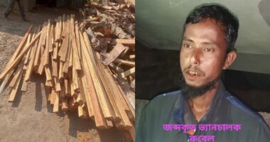 জব্দকৃত চোরাই গাছসহ আটকৃত ভ্যান টাকার বিনিময়ে ছেড়ে দেওয়ার অভিযোগ , পুলিশের বিরুদ্ধে বিভাগীয় তদন্ত