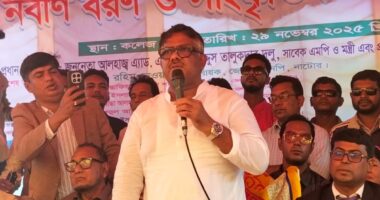১৭ বছরে আ'লীগ বাংলাদেশের শিক্ষা ব্যবস্থাকে ধ্বংস করে দিয়েছিলো : দুলু
