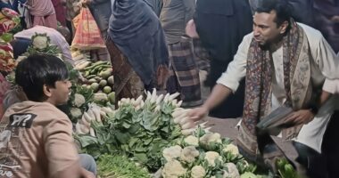 সেনবাগে এনসিপি প্রার্থী জাকারিয়ার গণসংযোগ শাপলা কলিতে সমর্থন চাইলেন ভোটারদের