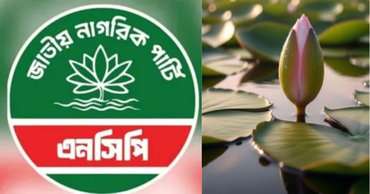সব জল্পনা-কল্পনার অবসান ঘটিয়ে শাপলা কলিসহ চূড়ান্ত নিবন্ধন পেলো এনসিপি