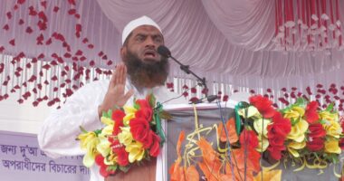 গণভোটে জুলাই সনদ কার্যকর করেই হবে সংসদ নির্বাচন : মামুনুল হক