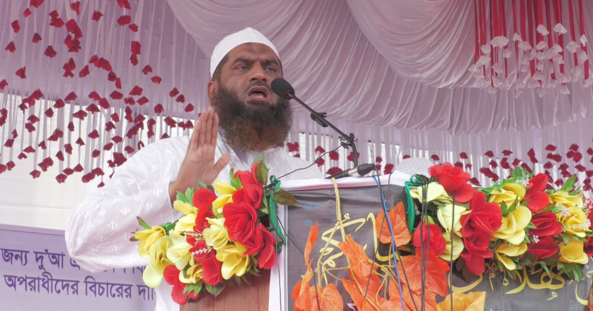 গণভোটে জুলাই সনদ কার্যকর করেই হবে সংসদ নির্বাচন : মামুনুল হক