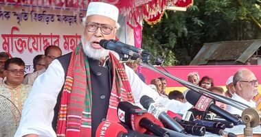 ধানের শীষ এখন পেটের বিষ, আ.লীগ-জাপা ছাড়া নির্বাচনে যাবো না : কাদের সিদ্দিকী ‎