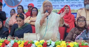 ‘রাজনৈতিক প্রতিহিংসার কারণে তারেক রহমানকে শেখ হাসিনা মেরে ফেলতে চেয়েছিলেন' : সেলিমা রহমান