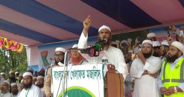 “এই আন্দোলনে আমরা জীবন বিসর্জন দেব, নয়তো দেশ ও জাতির বিজয় ছিনিয়ে আনব ইনশাআল্লাহ” : মামুনুল হক