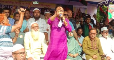 নাটোরের সিংড়ায় জাতীয় বিপ্লব ও সংহতি দিবস উপলক্ষে আলোচনা সভা ও র‍্যালী