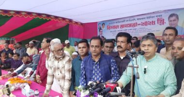 'অন্য কোনো দলের প্রার্থী নয় , বিএনপি’র প্রার্থীই পটুয়াখালী-৩ আসনে নির্বাচন করবে' : হাসান মামুন