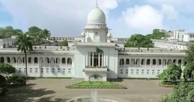 তত্ত্বাবধায়ক সরকার ফেরাতে ষষ্ঠ দিনের আপিল শুনানি চলছে